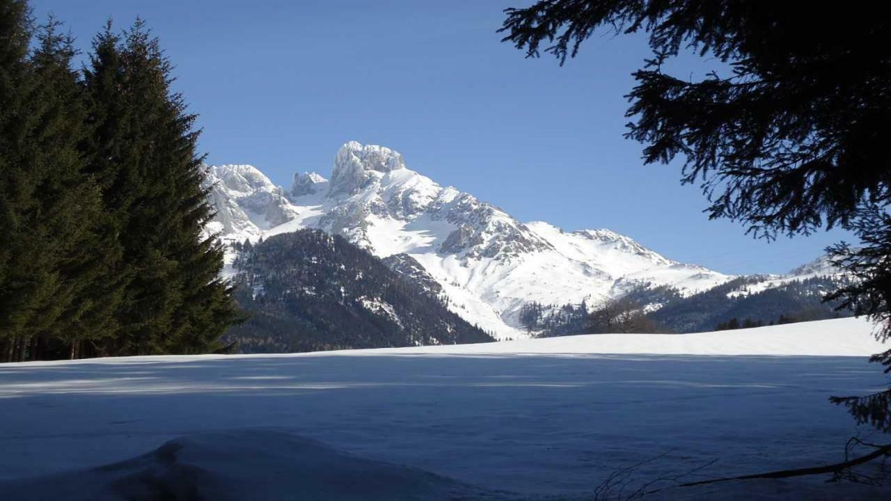 Berg Chalet Annaberg im Lammertal Zewnętrze zdjęcie